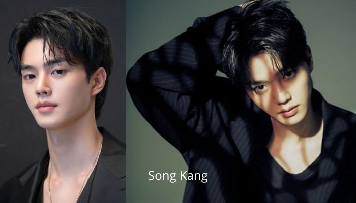 Song Kang: O Fenômeno Global dos Doramas que Conquistou o Brasil