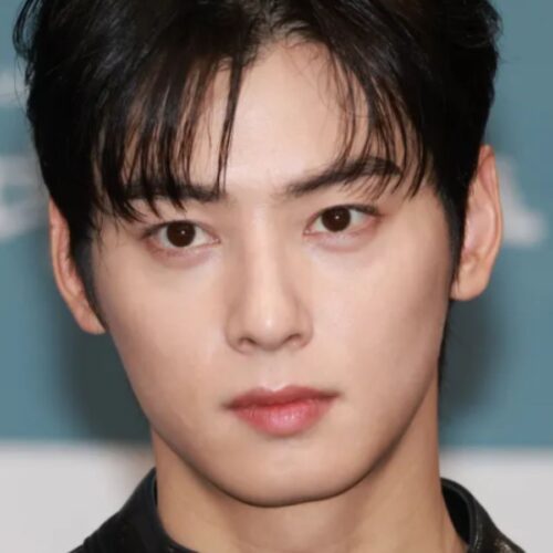 Chegou a vez de Cha Eun Woo se alistar no exército.